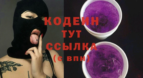 шишки Баксан