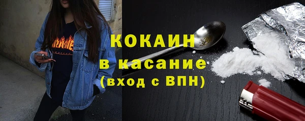 шишки Баксан