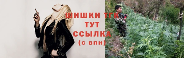 шишки Баксан