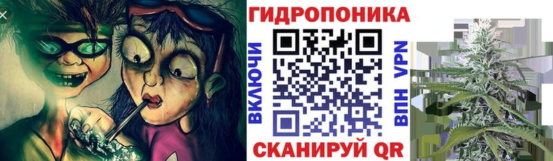 Каннабис семена  Зеленокумск 
